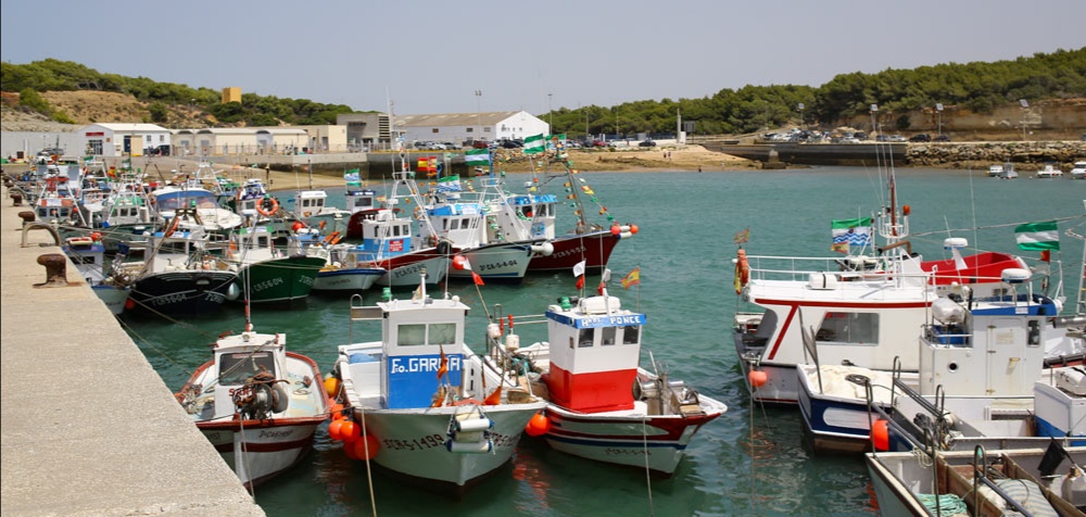 Puerto Conil